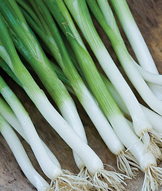 scallions